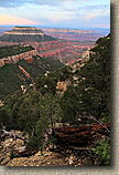 AZ 2010 - Rainbow Rim Trail