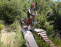 images/Trails/Idyllwild/Idyllwild-5JUN05-Pub-19.jpg