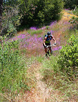 images/Trails/Idyllwild/Idyllwild-5JUN05-Pub-20.jpg