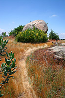 images/Trails/Idyllwild/Idyllwild-5JUN05-Pub-22.jpg