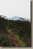 Photo of La Costa Trail