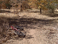 Redtail Roost Fork
