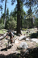 images/Trails/LakeTahoe/Tahoe-08JUL05-DHFromDriscollLake-02.jpg