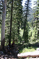 images/Trails/LakeTahoe/Tahoe-08JUL05-DHFromDriscollLake-13.jpg
