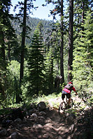 images/Trails/LakeTahoe/Tahoe-08JUL05-DHFromDriscollLake-21.jpg