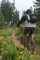 images/Trails/LakeTahoe/Tahoe-09JUL05-TRT-SpoonerToDiamondPk-05.jpg
