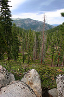 images/Trails/LakeTahoe/Tahoe-09JUL05-TRT-SpoonerToDiamondPk-14.jpg
