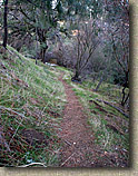 The Silver Mocasion Trail
