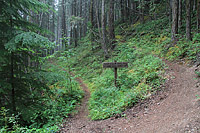 Lower Dungeness and Gold Creek Trails