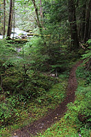 Lower Dungeness and Gold Creek Trails