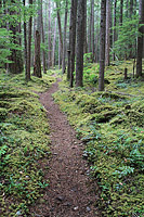 Lower Dungeness and Gold Creek Trails