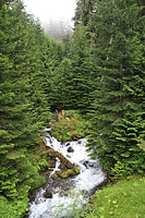 Lower Dungeness and Gold Creek Trails