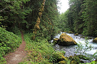 Lower Dungeness and Gold Creek Trails