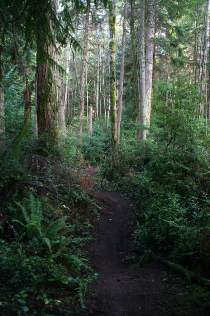 Banner Forest, Washington – The Ramblings of MTBBill