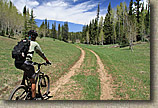 AZ 2010 - Arizona Trail