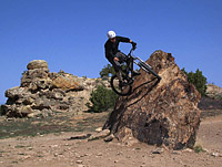 Toni AKA Err online shows who this rock is supposed to be ridden.