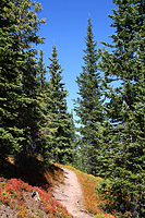 Two Elks Trail