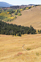 Two Elks Trail