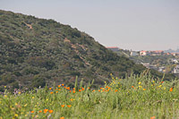 Lake Calvera