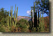 images/Trails/CopperCanyon/CopperCanyonMX-OCT05-Day7-Satevo-18.jpg