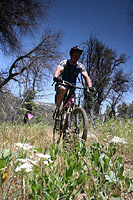 images/Trails/Cuyamaca/CuyamacaMountains-29MAY06-26.jpg
