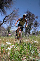 images/Trails/Cuyamaca/CuyamacaMountains-29MAY06-27.jpg