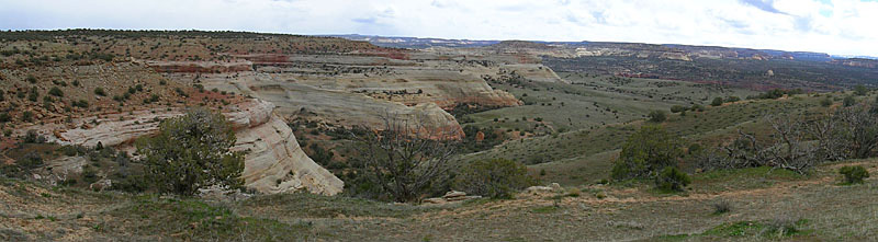 Picture of Rabbit Valley near Loma, CO