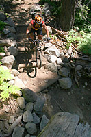 images/Trails/LakeTahoe/Tahoe-08JUL05-DHFromDriscollLake-04.jpg