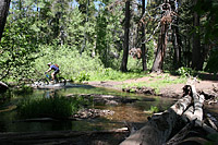 images/Trails/LakeTahoe/Tahoe-08JUL05-TowardsDriscollLake-07.jpg