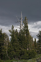 images/Trails/LakeTahoe/Tahoe-09JUL05-TRT-DiamondPeak-09.jpg