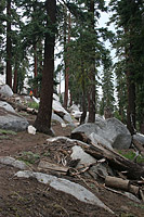 images/Trails/LakeTahoe/Tahoe-09JUL05-TRT-MtRoseToFlume-27.jpg