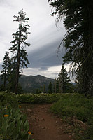 images/Trails/LakeTahoe/Tahoe-09JUL05-TRT-SpoonerToDiamondPk-09.jpg