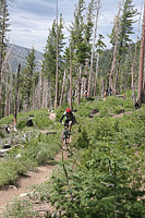 images/Trails/LakeTahoe/Tahoe-09JUL05-TRT-SpoonerToDiamondPk-19.jpg