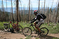images/Trails/LakeTahoe/Tahoe-09JUL05-TRT-SpoonerToDiamondPk-23.jpg
