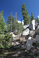 images/Trails/Norcal07/Norcal07-Tahoe-18JUL07-30.jpg