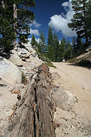 images/Trails/Norcal07/Norcal07-Tahoe-18JUL07-31.jpg