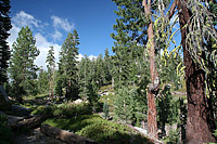 images/Trails/Norcal07/Norcal07-Tahoe-18JUL07-44.jpg