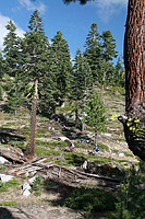 images/Trails/Norcal07/Norcal07-Tahoe-18JUL07-47.jpg