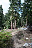 images/Trails/Norcal07/Norcal07-Tahoe-18JUL07-49.jpg