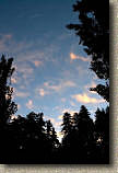 images/Trails/Norcal07/SantaCruz-RedwoodSunrise.jpg