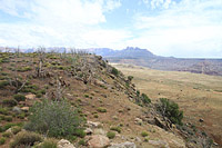 Gucamole Trail