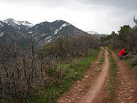 The Porcupine Rim Trail