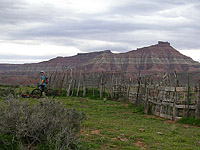 images/Trails/Utah-StGeorge/Roadtrip2005-Day4-HurricanceCliffs-05.jpg