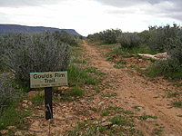 images/Trails/Utah-StGeorge/Roadtrip2005-Day4-HurricanceCliffs-09.jpg