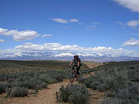 images/Trails/Utah-StGeorge/Roadtrip2005-Day4-HurricanceCliffs-12.jpg